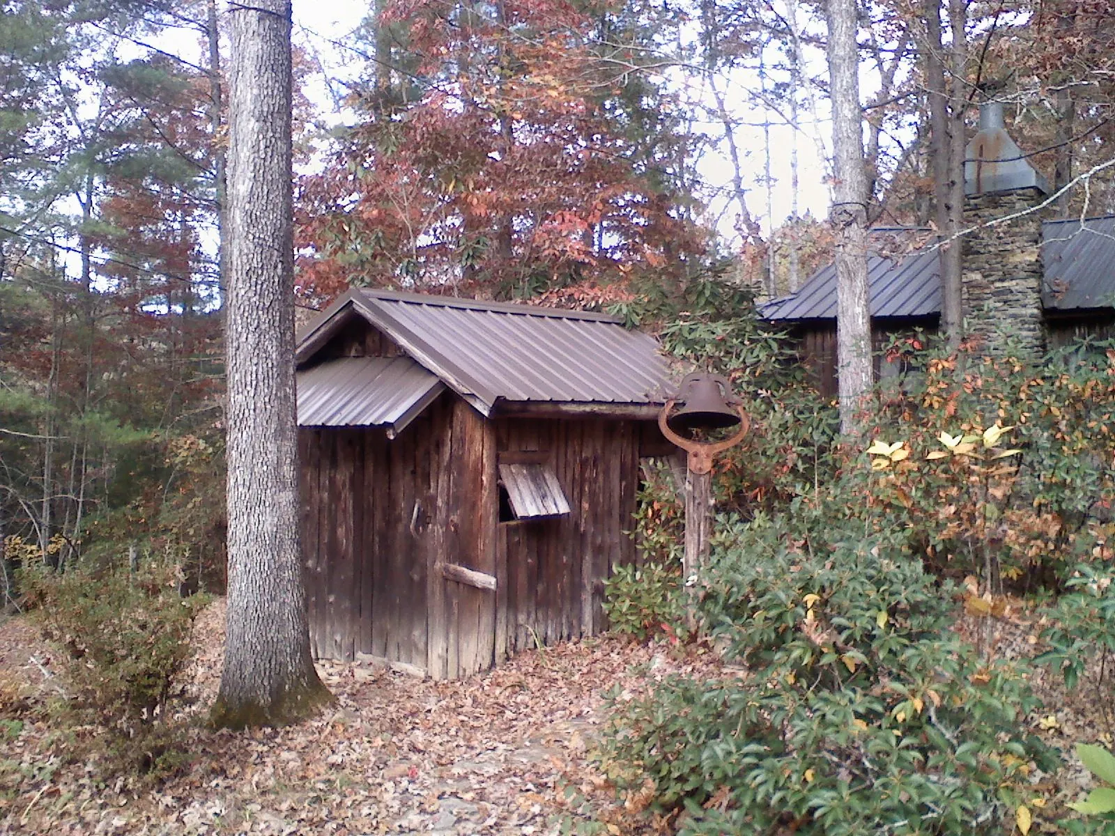 Small metal roof on a rough sawn shed in the woods in Middlebrook
